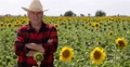 Proud Farmer Looking Satisfied Present Sunflower Harvest Business Agriculture 4k or 4k+ Resolution