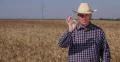 Proud Farmer Man Interview Wheat Harvest Growing Opinion Positive Ok Hand Sign 4k or 4k+ Resolution