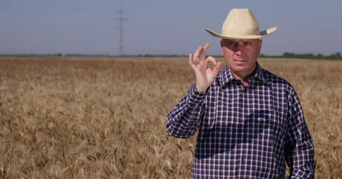 Proud Farmer Man Interview Wheat Harvest Growing Opinion Positive Ok Hand Sign Stock-Footage 54593248