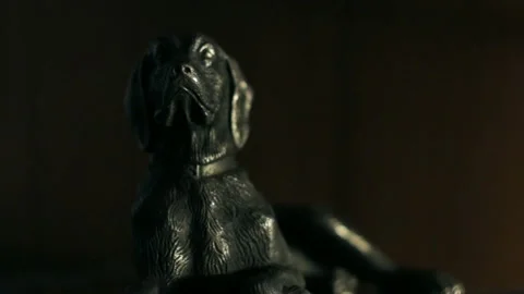 Proud guard dog Stock Footage 100765290