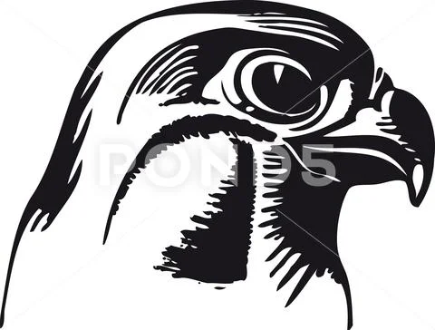 Proud hawk, Retro Vector Illustration Stock Illustration