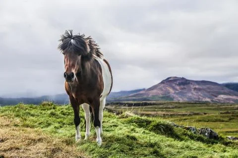 Proud of heritage Stock Photos