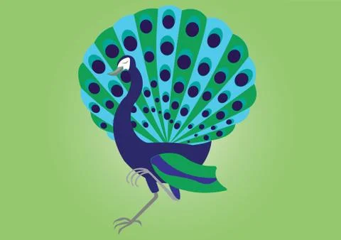Proud peacock Stock Illustration