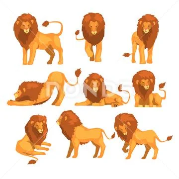 Proud powerful lion character in different actions set of cartoon vector Stock Illustration