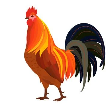 Proud Red Rooster Stock Illustration