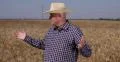 Proud Satisfied Wheat Crop Abundance Success Business Farmer Looking Around Land 4k or 4k+ Resolution