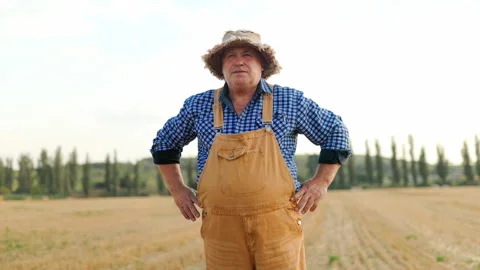 Proud senior farmer standing with hands on hips in harvested field. Видео 342174237