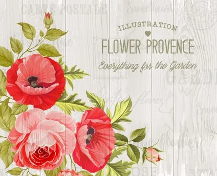 Provence card background Illustrazione stock