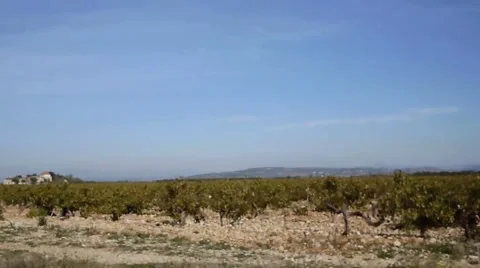 Provence. Stock Footage 905367