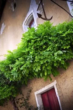 Provence Stock Photos