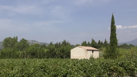 Provence vineyard mountains panning Stock Footage 80059265