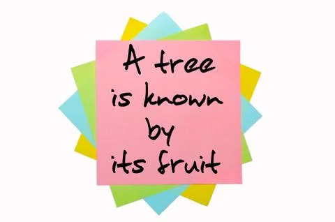 Proverb "a tree is known by its fruit" written on bunch of sticky notes Foto stock