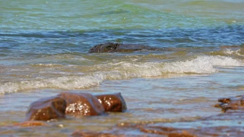 Providence Bay view, Lake Huron, Manitoulin Island, Ontario, Canada. Locati.. Видео 260411029