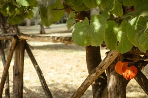 Province Stock Photos