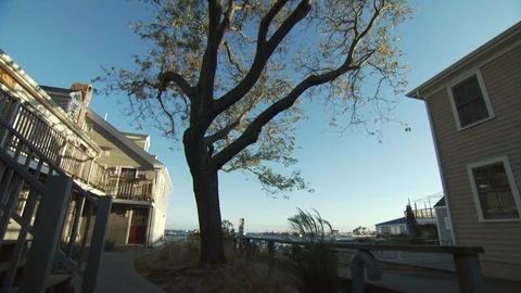 Provincetown Cape Cod, MA Stock Footage 123912101