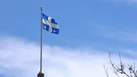 Provincial Flag of Quebec in Slow Motion Stock Footage 77106655