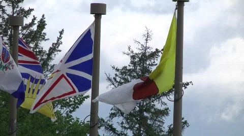 Provincial Flags 動画素材 839717