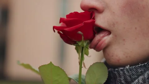 Provocative street art capturing seductive floral expressions. Candid urban Stock Footage 332922687