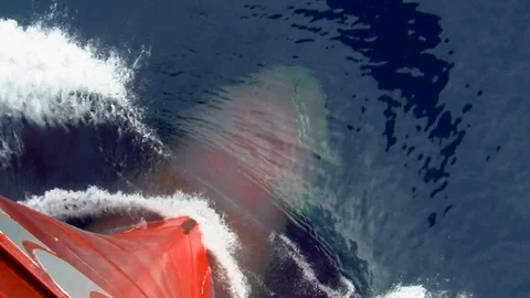Prow of a Ship breaking  waves sailing ship from the Prow point of view Stock-Footage 69148625