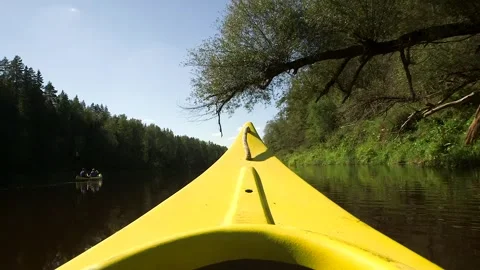 The Prow of the Yellow Boat Passes Under a Fallen Tree Driving Down the River Stock Footage 291323339