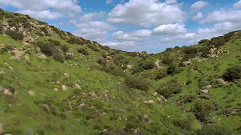 Proximity flight up a grassy hillside Stock Footage 241552001