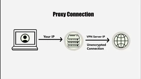 Proxy Connection VPN Concept with IP Routing and Unencrypted Traffic Vidéo 333912270