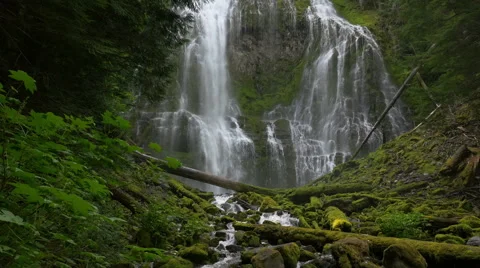 Proxy Falls, Central Oregon (tracking) Video stock 41776063
