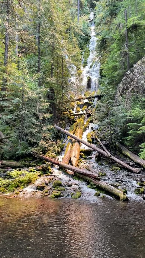 Proxy Falls Oregon Stock Footage 329453641