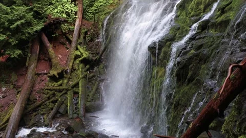Proxy Falls in Oregon, USA Stock Footage 201164100