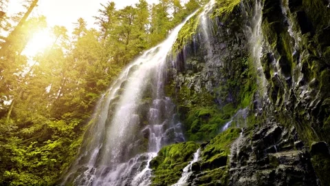 Proxy Falls in Oregon, USA Stock Footage 201164146