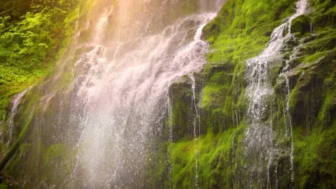 Proxy Falls in Oregon, USA Stock Footage 201164286