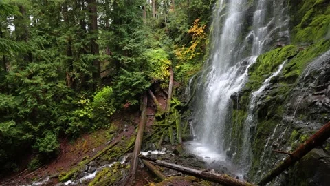 Proxy Falls in Oregon, USA Stock Footage 201306899