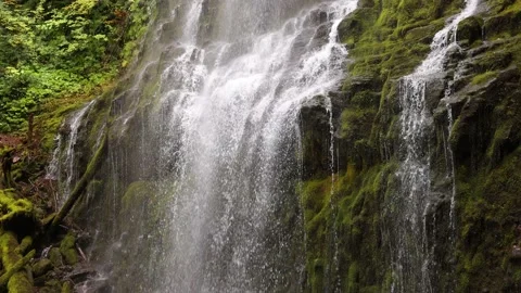 Proxy Falls in Oregon, USA Stock Footage 201492519