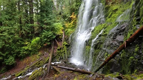 Proxy Falls in Oregon, USA Stock Footage 201879570