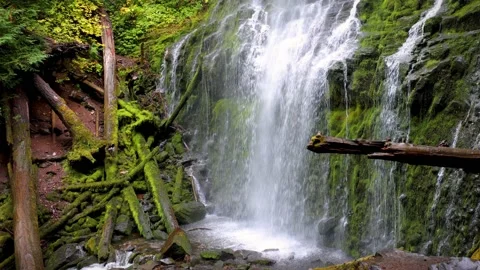 Proxy Falls in Oregon, USA Stock Footage 202091983