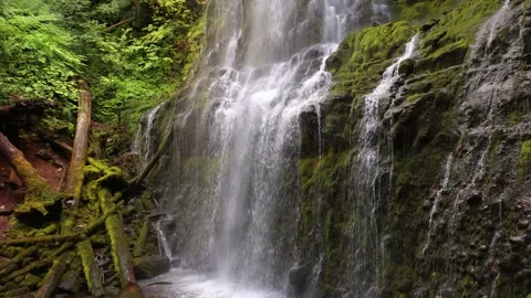 Proxy Falls in Oregon, USA 動画素材 220451090