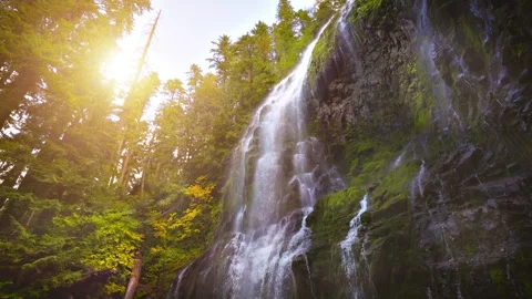 Proxy Falls in Oregon, USA Video stock 242052415
