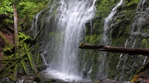 Proxy Falls in Oregon, USA Stock Footage 283691881