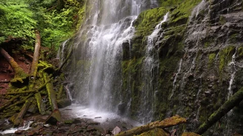 Proxy Falls in Oregon, USA Stock Footage 283691964