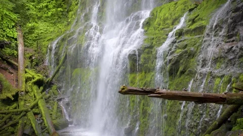 Proxy Falls in Oregon, USA Stock Footage 284964486