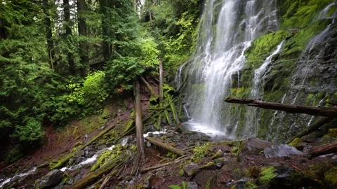 Proxy Falls in Oregon, USA Stock Footage 290023003