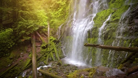Proxy Falls in Oregon, USA Stock Footage 295235186