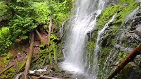 Proxy Falls in Oregon, USA Stock Footage 295963167