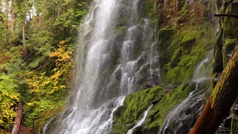 Proxy Falls in Oregon, USA Stock Footage 295963309