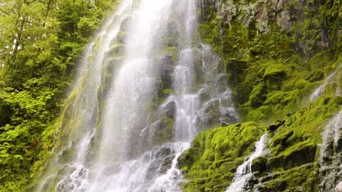 Proxy Falls in Oregon, USA Stock Footage 302592895