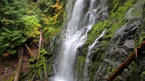Proxy Falls in Oregon, USA Stock Footage 310855785