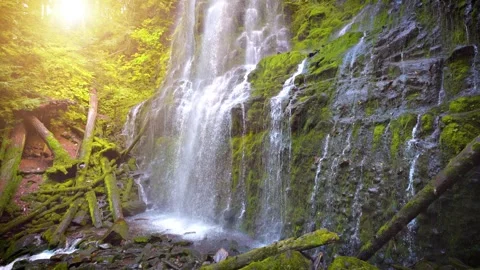 Proxy Falls in Oregon, USA Stock Footage 310855864