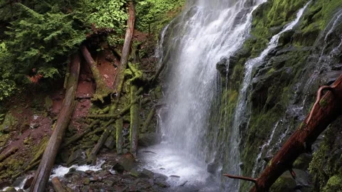 Proxy Falls in Oregon, USA Stock Footage 319497301