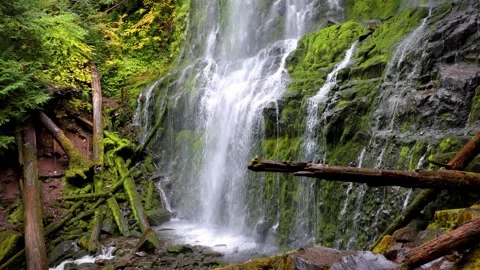 Proxy Falls in Oregon, USA Stock Footage 335025782