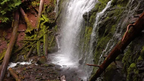 Proxy Falls in Oregon, USA Stock Footage 337249590